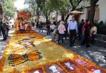 Recorre Alfonso Martínez altares y tapetes florales en plazas públicas