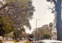 Brigadas de Protección Civil y Bomberos atienden incidencias causadas por lluvia y granizo en Morelia