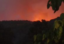 Alerta en Morelia por el incendio forestal que avanza hacia zonas habitadas y amenaza a la principal reserva ecológica