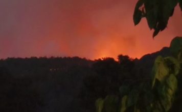 Alerta en Morelia por el incendio forestal que avanza hacia zonas habitadas y amenaza a la principal reserva ecológica